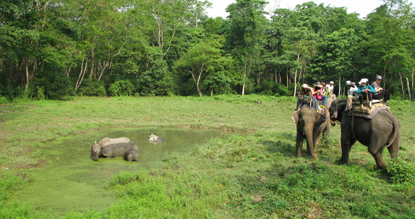 Chitwan Jungal Safari